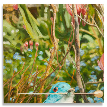 Bluebirds and Bleeding Hearts