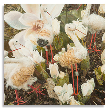 Bloodroot and Cranes