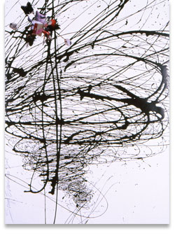 Tornado, Energy, Coral Works, copyright Sonya Evanisko