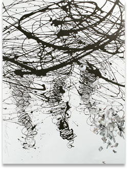 Tornado, Energy, Coral Works, copyright Sonya Evanisko