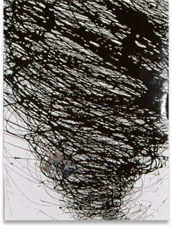 Tornado, Energy, Coral Works, copyright Sonya Evanisko